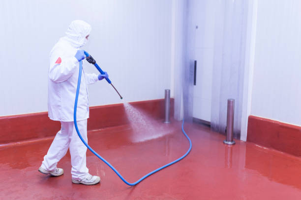 Best Warehouse Cleaning  in Branson, MO